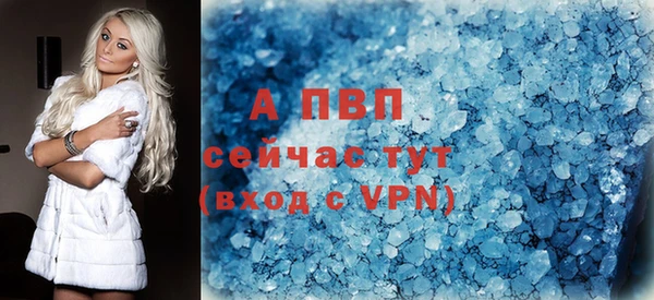 прущие крисы Аркадак
