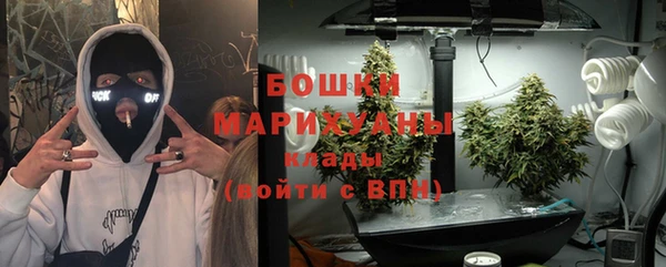 прущие крисы Аркадак