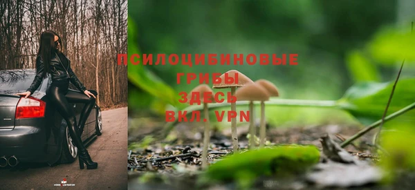 молекула духа Армянск